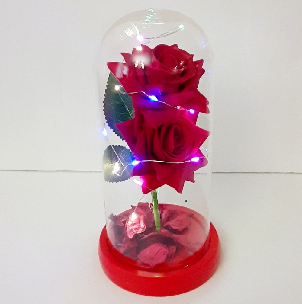 PS I Love U Gift For Her Beauty and The Beast Red Rose LED Glass Dome Decor